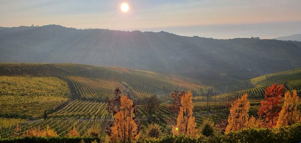 Tramonto sulle Langhe colline, vigneti, langhe, campagna, tramonto