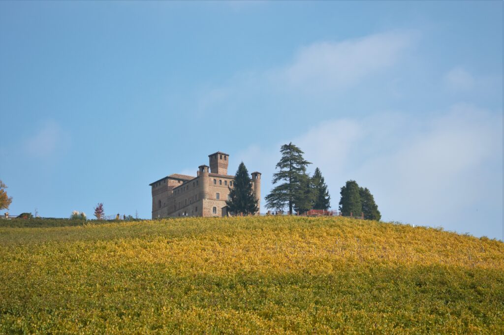 Castello di Grinzane-Cavour castello, langhe, prato, vigneto