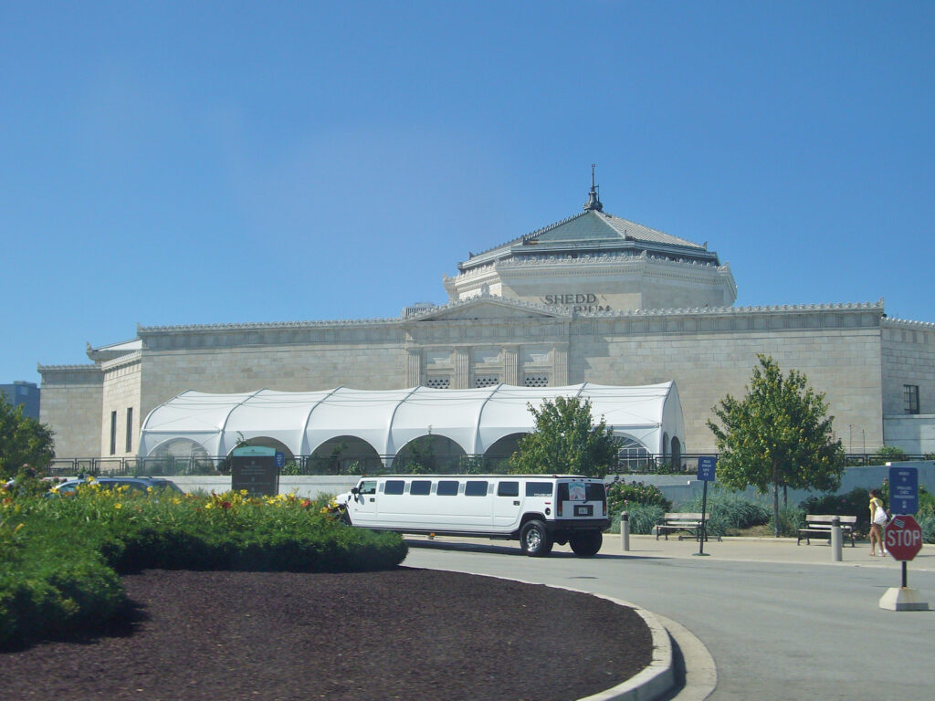 Shedd Aquarium, Chicago