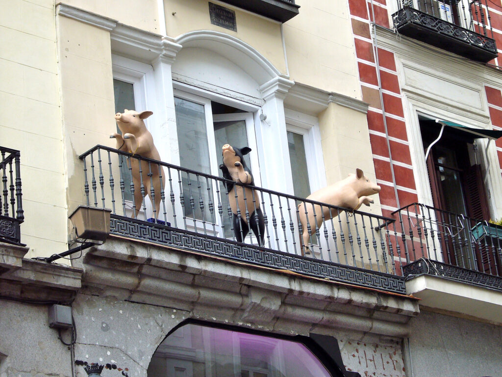 Porcelli alla finestra maialini, balcone
