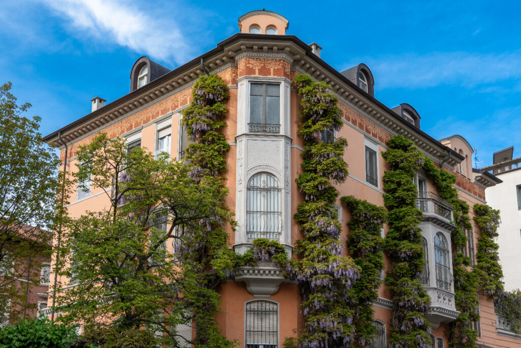 glicine in via Cosseria
