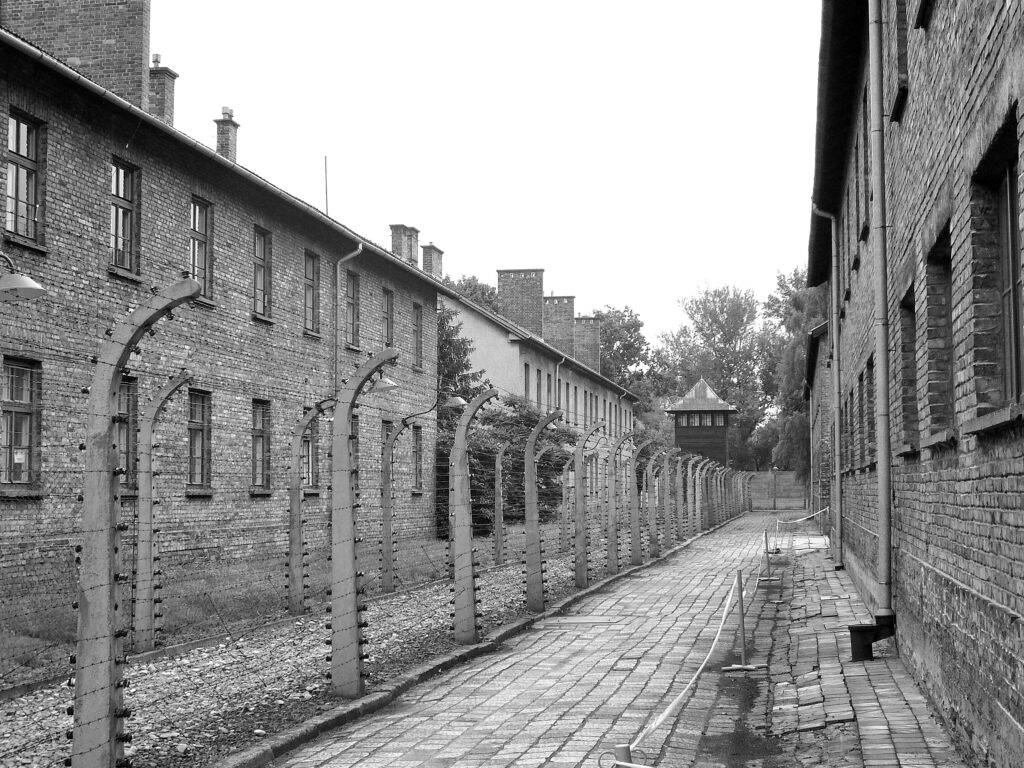 I muri di Auschwitz auschwitz, prigione, recinzione