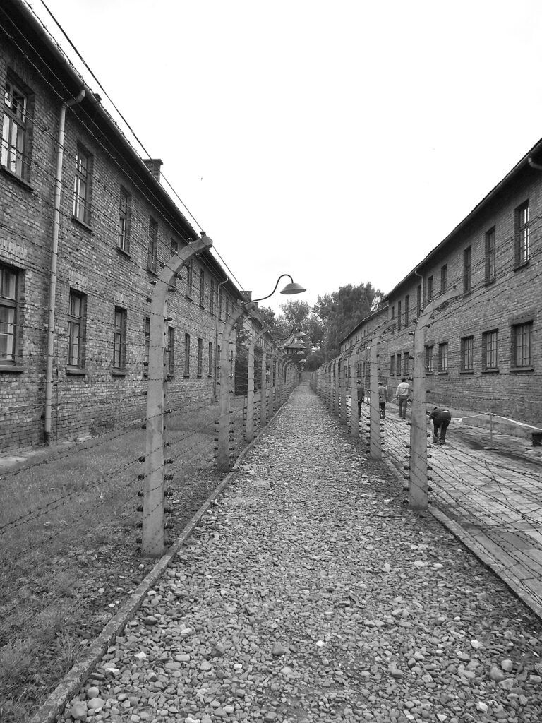 I camminamenti di Auschwitz auschwitz, passaggio, prigione