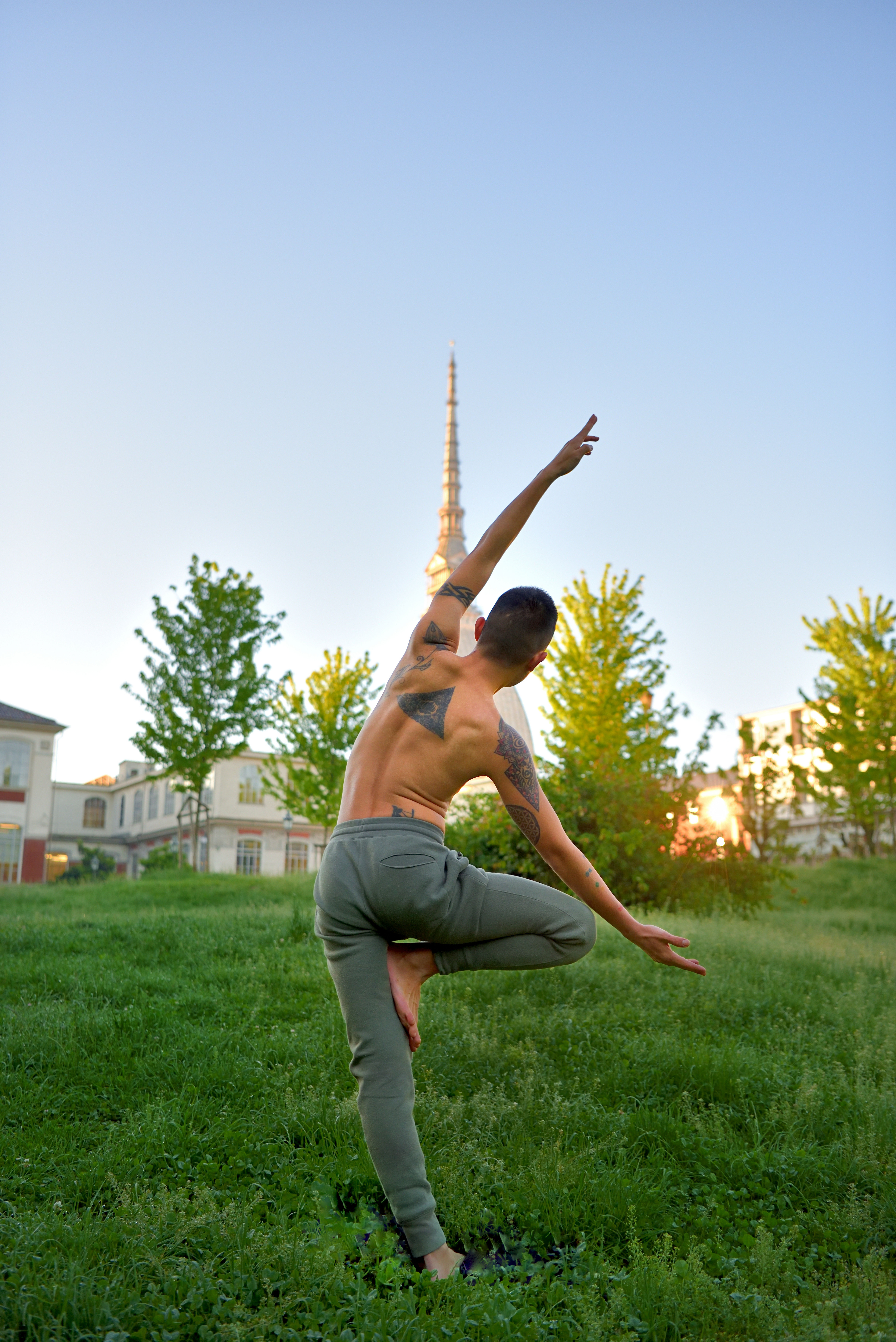 Vrksasana, l'Albero Albero, yoga