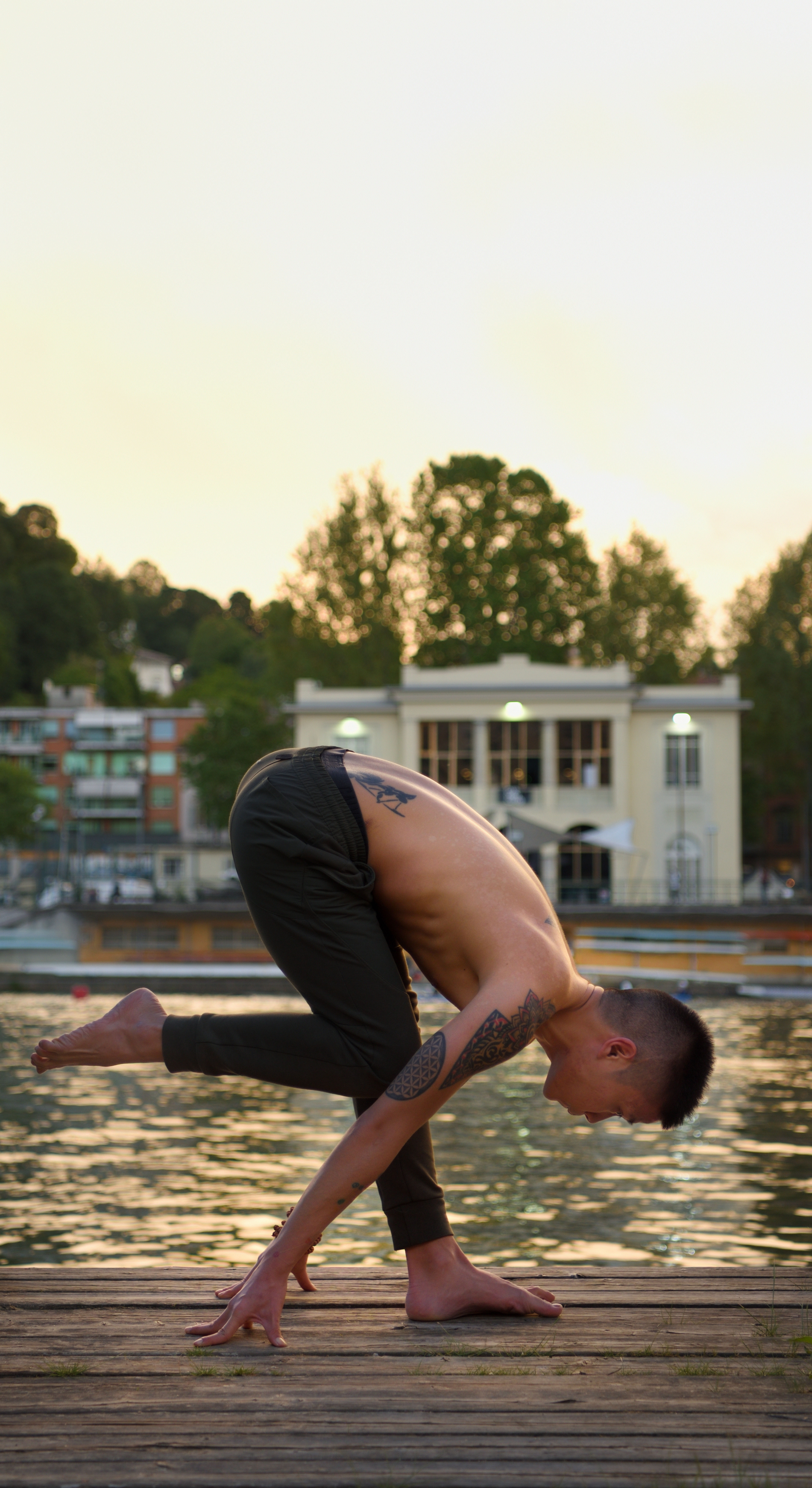 Eka pada parsvottanasana, il Fenicottero Fenicottero, yoga