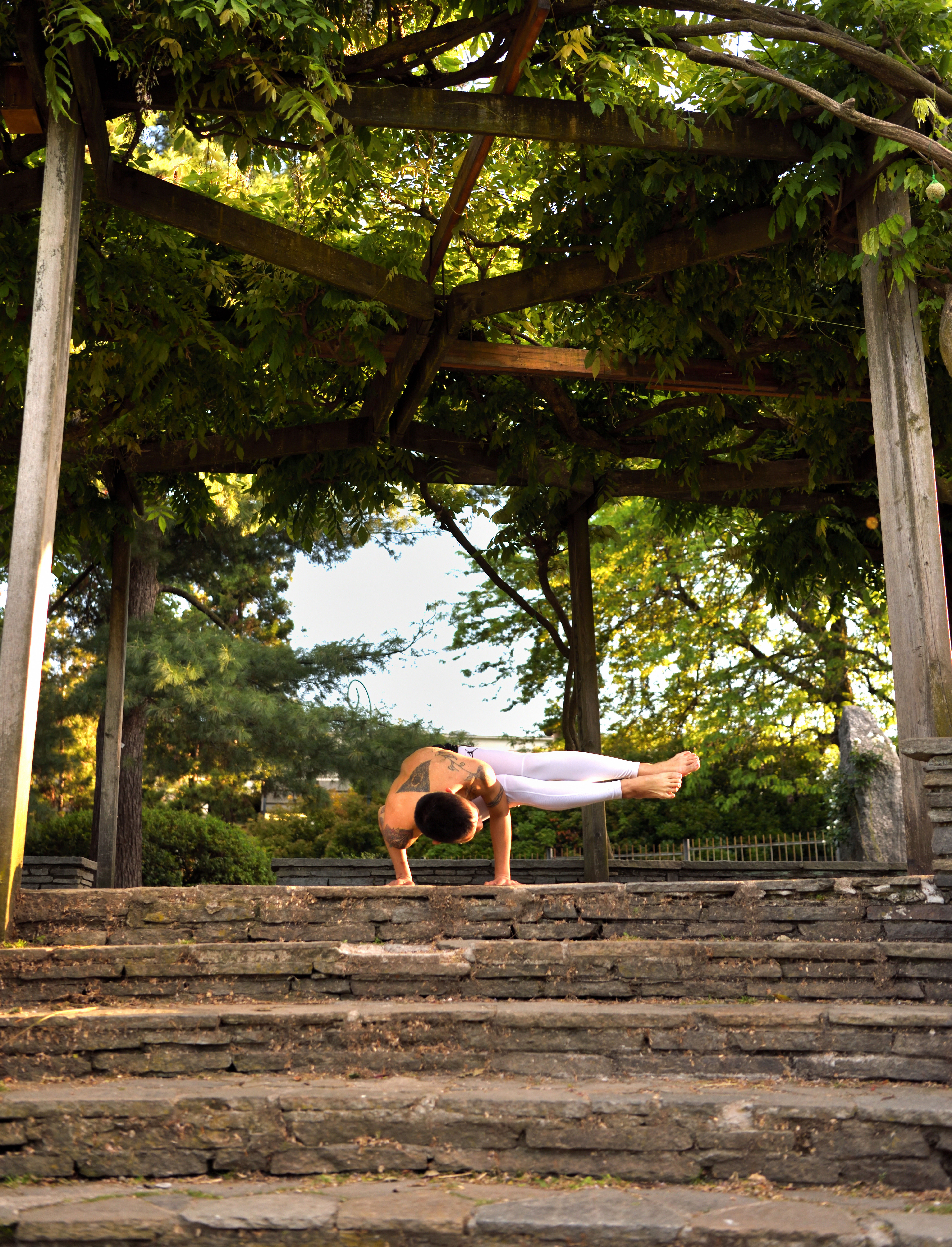 Parsva Bakasana, il Corvo laterale corvo laterale, yoga