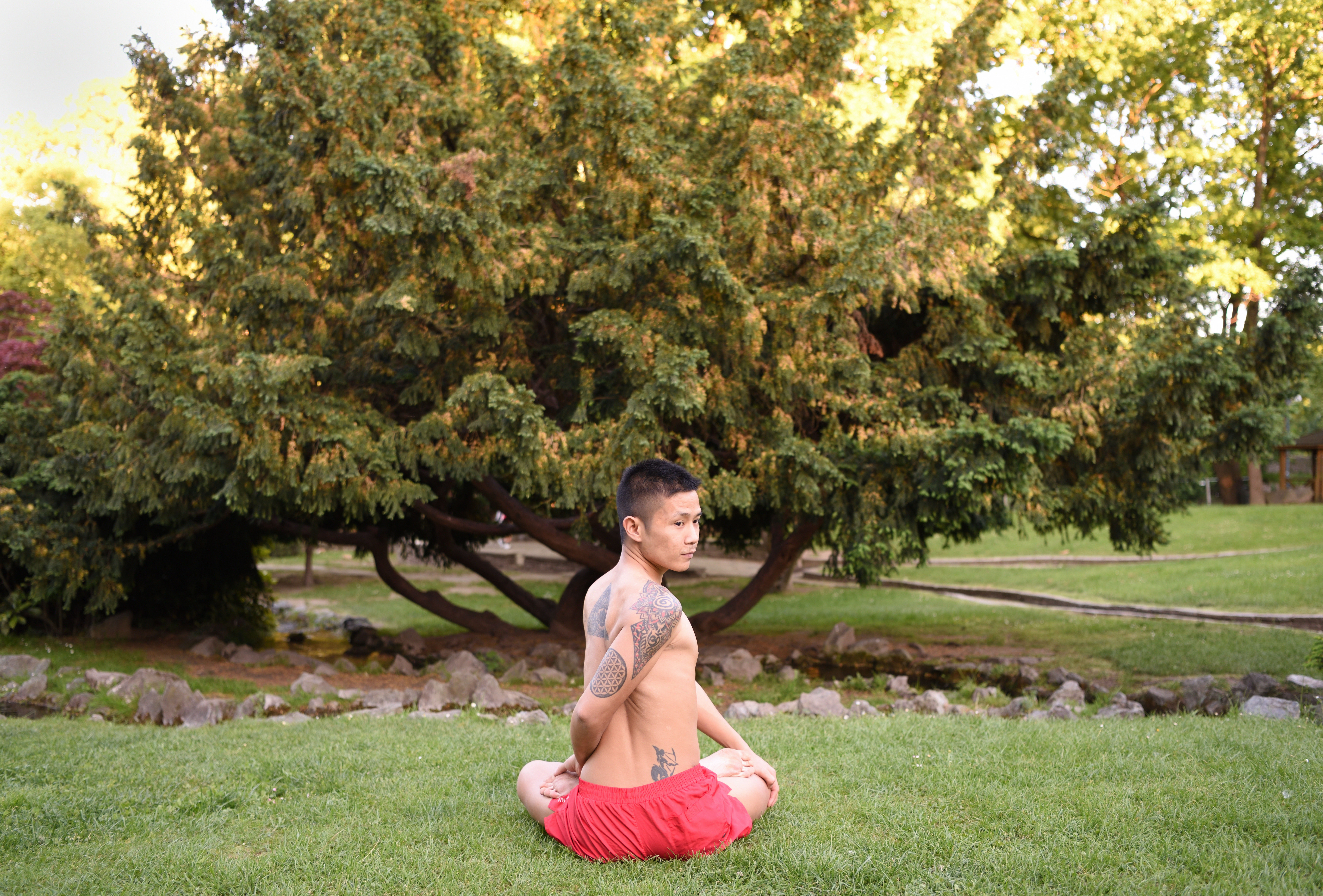 Bharadvaja, il Saggio Bharadvaja saggio, yoga