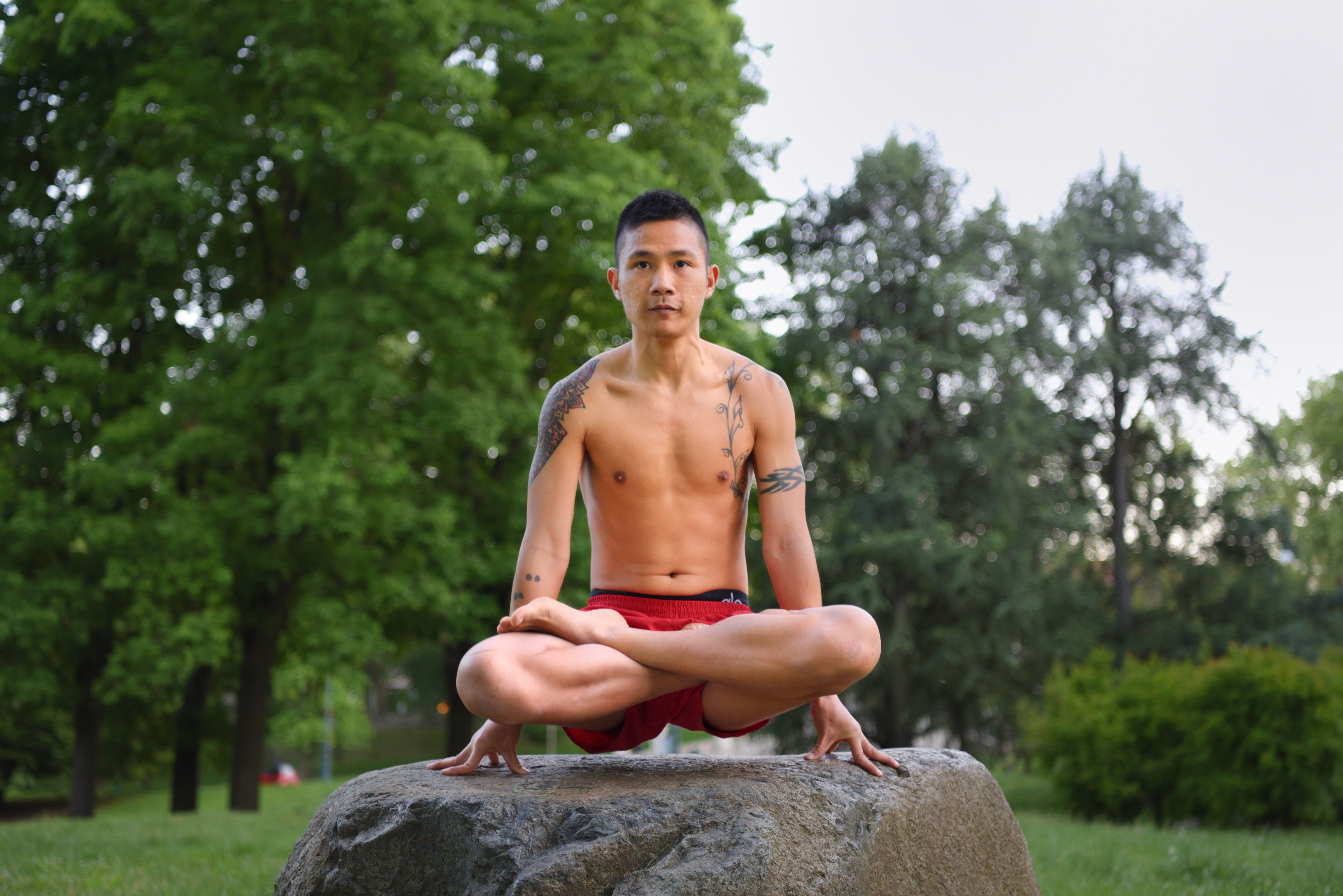 Tolasana, la Bilancia (o del loto sollevato) bilancia, yoga