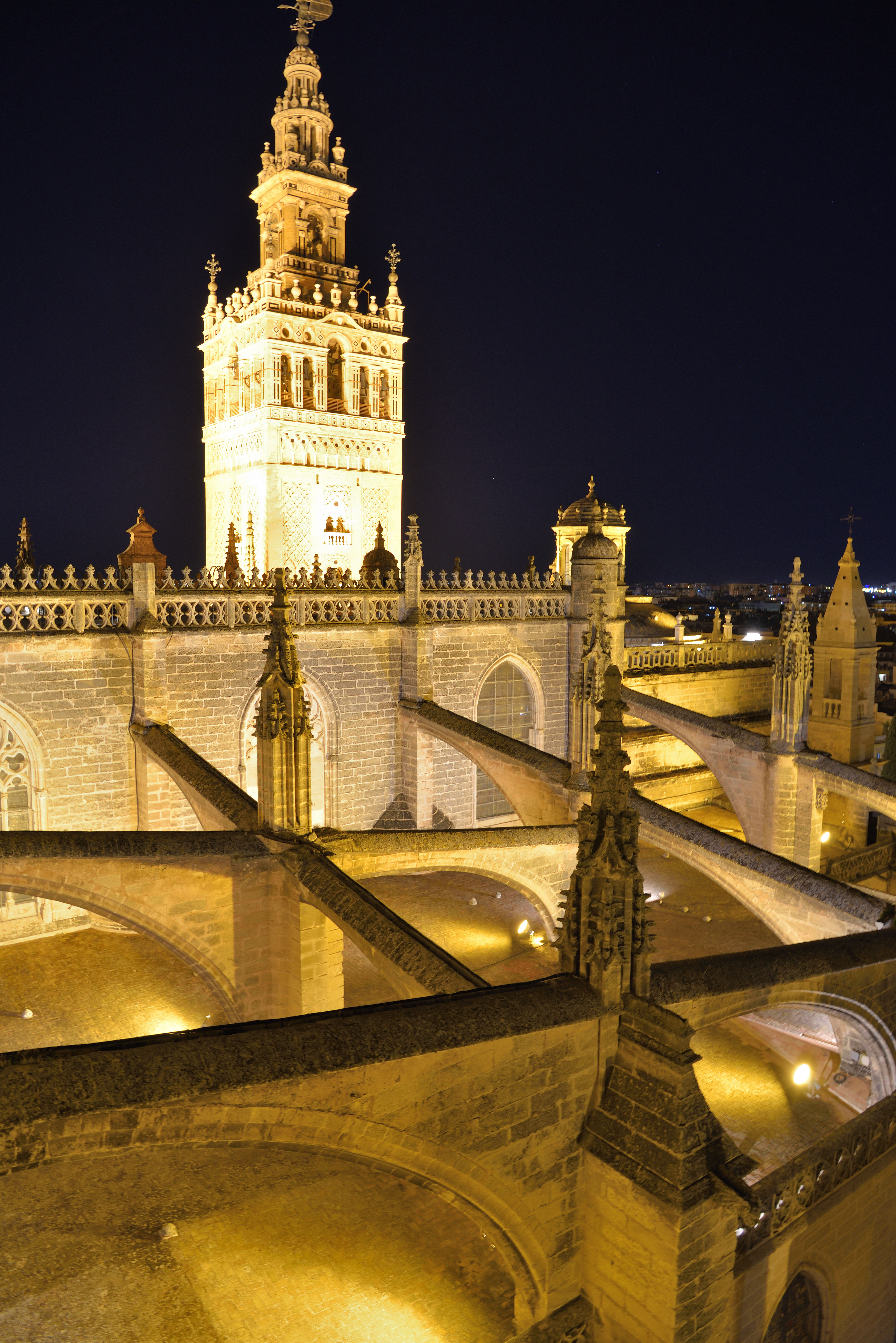 I tetti della cattedrale di Siviglia